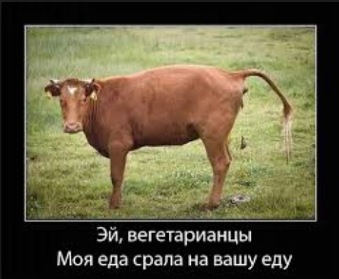 Эй вегетарианцы, моя еда срала на вашу еду