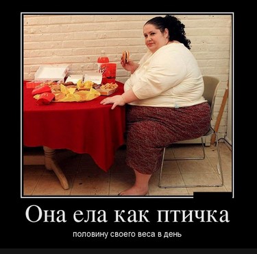 Фото юмор еда